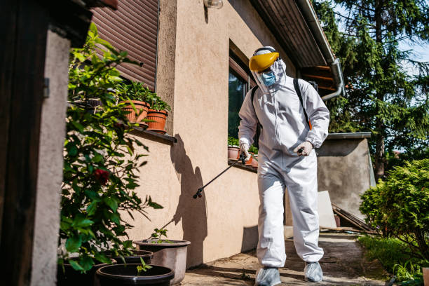 Best Pest Removal Services  in Sierra Madre, CA