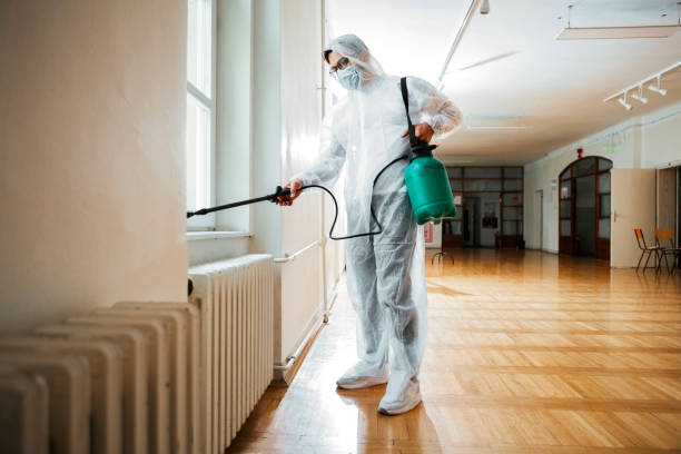 Best Affordable Pest Control Services  in Sierra Madre, CA